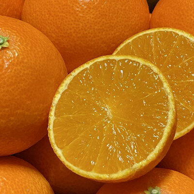 【ふるさと納税】太陽と海のまどんな2.5kg【贈答用】【D73-2】【1491884】 サムネイル2