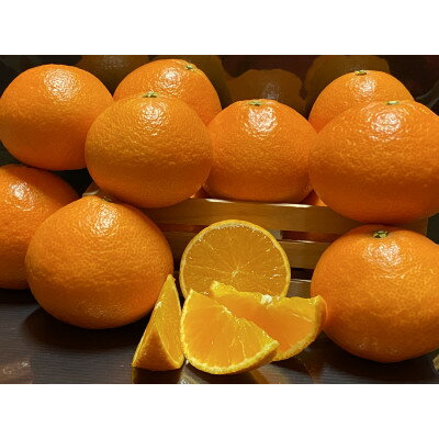 太陽と海のまどんな2.5kg【家庭用】【C73-7】【1491885】