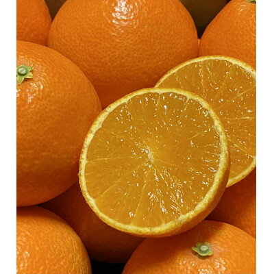 【ふるさと納税】太陽と海のまどんな2.5kg【家庭用】【C73-7】【1491885】 サムネイル2