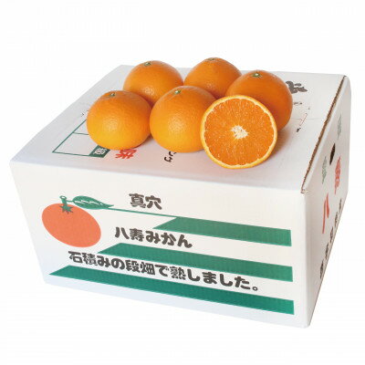 【ふるさと納税】杉本果樹園の清見タンゴール 5kg【C34-13】【1491925】 サムネイル3