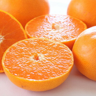 【ふるさと納税】《愛媛・八幡浜柑橘詰合せ》よくばり2箱セット(せとか・しらぬひの2品種)【C28-38】【1504074】 サムネイル2