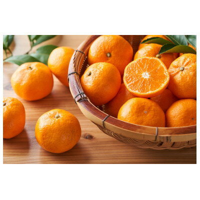 【ふるさと納税】柑橘の鬼たちがつくる八幡浜産・温州みかん3kg【A56-55】【配送不可地域：離島】【1504430】 サムネイル2