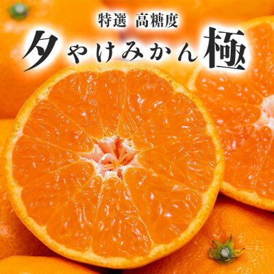 【ふるさと納税】「夕やけブランド」【まどんな】1kg+【夕やけみかん】2kgセット【D49-41】【1508960】 サムネイル3