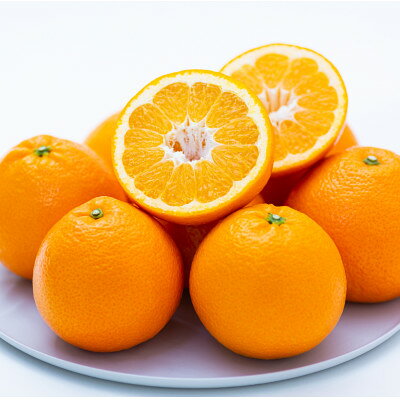 【ふるさと納税】【太陽をたっぷり浴びた】伊予柑【極】 4kg / 5kg / 10kg_ 伊予柑 いよかん みかん ミカン 蜜柑 果物 くだもの フルーツ デザート おいしい ジューシー かんきつ 柑橘 柑橘類 国産 愛媛 愛媛県 八幡浜市 産直 産地直送 送料無料 【G1509740】 サムネイル2