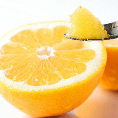 【ふるさと納税】【太陽をたっぷり浴びた】河内晩柑【極】 3.5kg / 6kg / 12kg _ 河内晩柑 晩柑 かわちばんかん みかん ミカン 蜜柑 愛媛県 国産 和製グレープフルーツ 果物 くだもの フルーツ デザート かんきつ 柑橘 柑橘類 産直 産地直送 八幡浜市 送料無料 【G1509764】 サムネイル2