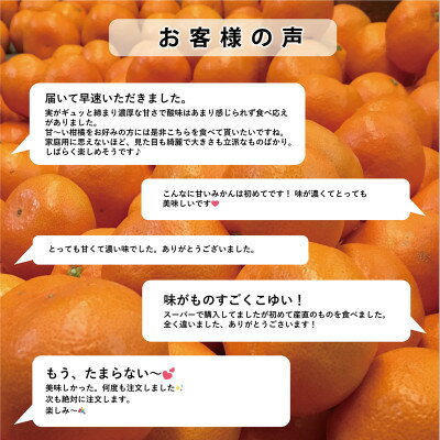 【ふるさと納税】「夕やけブランド」柑橘の大トロ!【せとか】 2kg / 3kg / 5kg / 10kg_ みかん ミカン 蜜柑 せとか 果物 くだもの フルーツ デザート おいしい かんきつ 柑橘 柑橘類 国産 愛媛 愛媛県 八幡浜市 産直 産地直送 送料無料 【G1509770】 サムネイル3