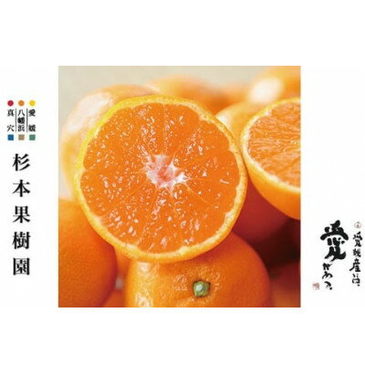 【2025年11月以降順次発送】〈特選〉真穴、杉本果樹園の八寿みかん(小玉)5kg【C34-18】_ みかん ミカン 柑橘 フルーツ くだもの 果物 ふるーつ 青果 果実 甘い ジューシー 産直 産地直送 旬 【1510692】