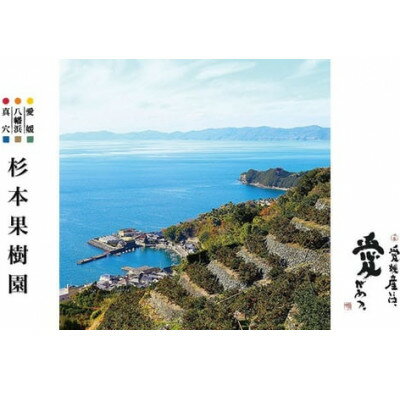 【ふるさと納税】【2025年11月以降順次発送】〈特選〉真穴、杉本果樹園の八寿みかん(小玉)5kg【C34-18】_ みかん ミカン 柑橘 フルーツ くだもの 果物 ふるーつ 青果 果実 甘い ジューシー 産直 産地直送 旬 【1510692】 サムネイル3