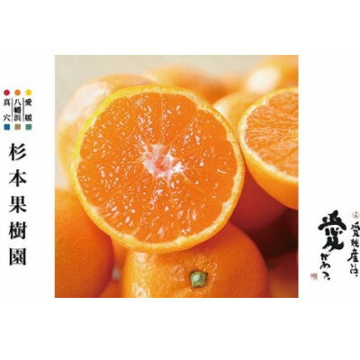 【2025年11月以降順次発送】〈特選〉真穴、八寿みかん(早生温州)5kg【D34-22】_ みかん ミカン 柑橘 フルーツ くだもの 果物 ふるーつ 青果 果実 甘い ジューシー 産直 産地直送 旬 柑橘類 人気 愛媛 果汁 早生 【1510693】