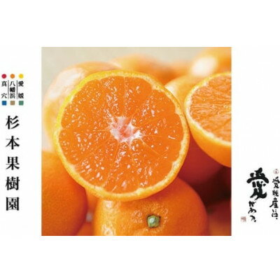 【2025年12月以降発送】〈特選〉真穴、杉本果樹園の八寿みかん(南柑20号)5kg【D34-23】_ みかん ミカン 柑橘 フルーツ くだもの 果物 ふるーつ 青果 果実 甘い ジューシー 産直 産地直送 旬 【1510694】