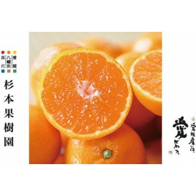 【2025年11月以降順次発送】〈特選〉真穴、八寿みかん(早生温州)3kg【C34-28】_ みかん ミカン 柑橘 フルーツ くだもの 果物 ふるーつ 青果 果実 甘い ジューシー 産直 産地直送 旬 柑橘類 人気 愛媛 果汁 早生 【1510696】