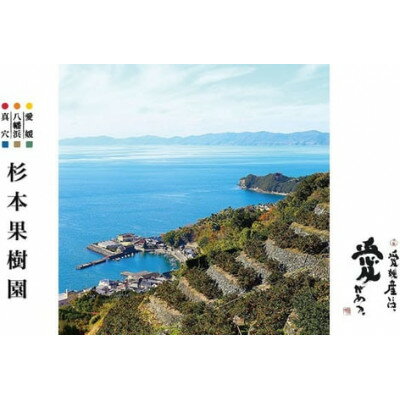 【ふるさと納税】【2025年11月以降順次発送】〈特選〉真穴、八寿みかん(早生温州)3kg【C34-28】_ みかん ミカン 柑橘 フルーツ くだもの 果物 ふるーつ 青果 果実 甘い ジューシー 産直 産地直送 旬 柑橘類 人気 愛媛 果汁 早生 【1510696】 サムネイル3