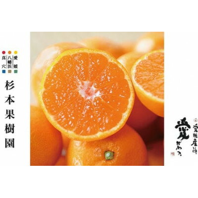 【2025年12月以降順次発送】〈特選〉真穴、八寿みかん(南柑20号)3kg【C34-29】_ ミカン みかん 常温 フルーツ 果物 くだもの 人気 柑橘 かんきつ 愛媛 旬 産地直送 産直 季節限定 甘い 限定 希少 特選 【1510697】