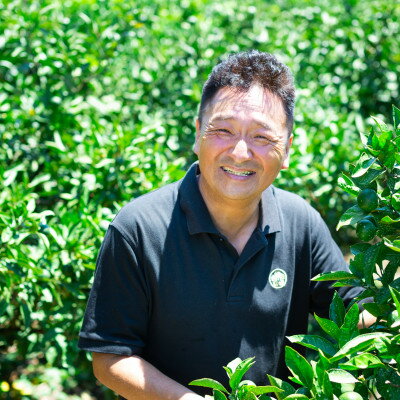 【ふるさと納税】「玉宝ブランド」【せとか】 2kg / 3kg / 5kg /10kg_ みかん せとか セトカ 玉宝 愛媛のみかん 柑橘 果物 くだもの フルーツ デザート 美味しい 濃厚 甘い ジューシー 愛媛 ご当地 愛媛県 八幡浜市 人気 送料無料 【G1511267】 サムネイル3