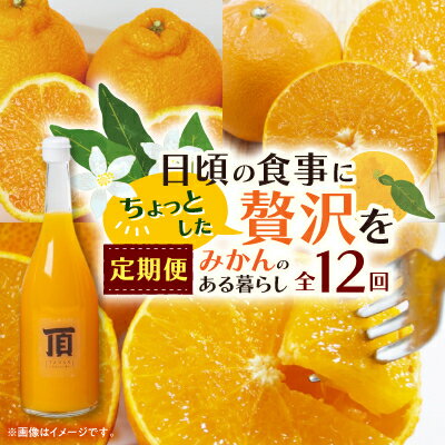 【発送月固定定期便】みかんのある暮らし全12回【H31-33】_ 蜜柑 ミカン 柑橘類 柑橘 フルーツ 果物 くだもの 人気 美味しい 愛媛県 八幡浜市 ふるさと 【配送不可地域：離島】【4000707】