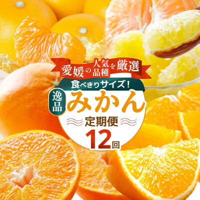 【発送月固定定期便】食べ切り少量サイズ 愛媛の人気品種!柑橘定期便(秀品)全12回【H25-156】【配送不可地域：離島】【4012890】