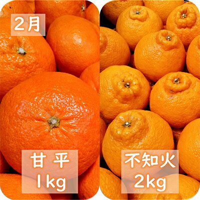 【ふるさと納税】【発送月固定定期便】愛咲果樹園「冬の柑橘定期便」(1月～3月)全3回【F71-20】_ みかん ミカン 柑橘 くだもの 果物 フルーツ 青果 定期便 甘平 不知火 せとか きよみ 清見 しらぬい 常温 デザート 産地直送 産直 愛媛 人気 【4013391】 サムネイル3