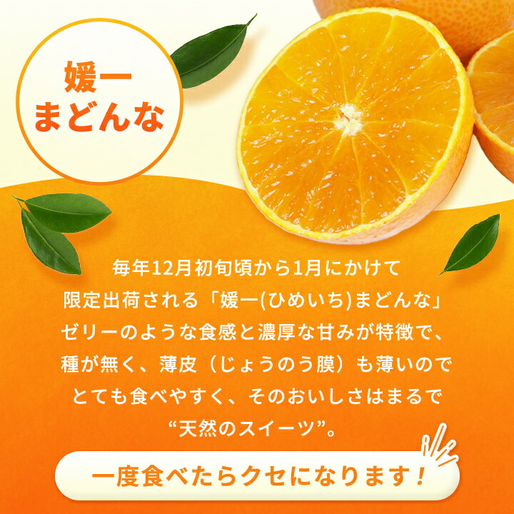 【ふるさと納税】【2025年11月以降発送】ゼリーのような食感!「媛一まどんな」約3.5kg入【D28-22】_ マドンナ 紅まどんな同品種 紅マドンナ同品種 みかん ミカン 蜜柑 柑橘 フルーツ 果物 くだもの 愛媛 八幡浜 ふるさと 【配送不可地域：離島】【1046127】 サムネイル3