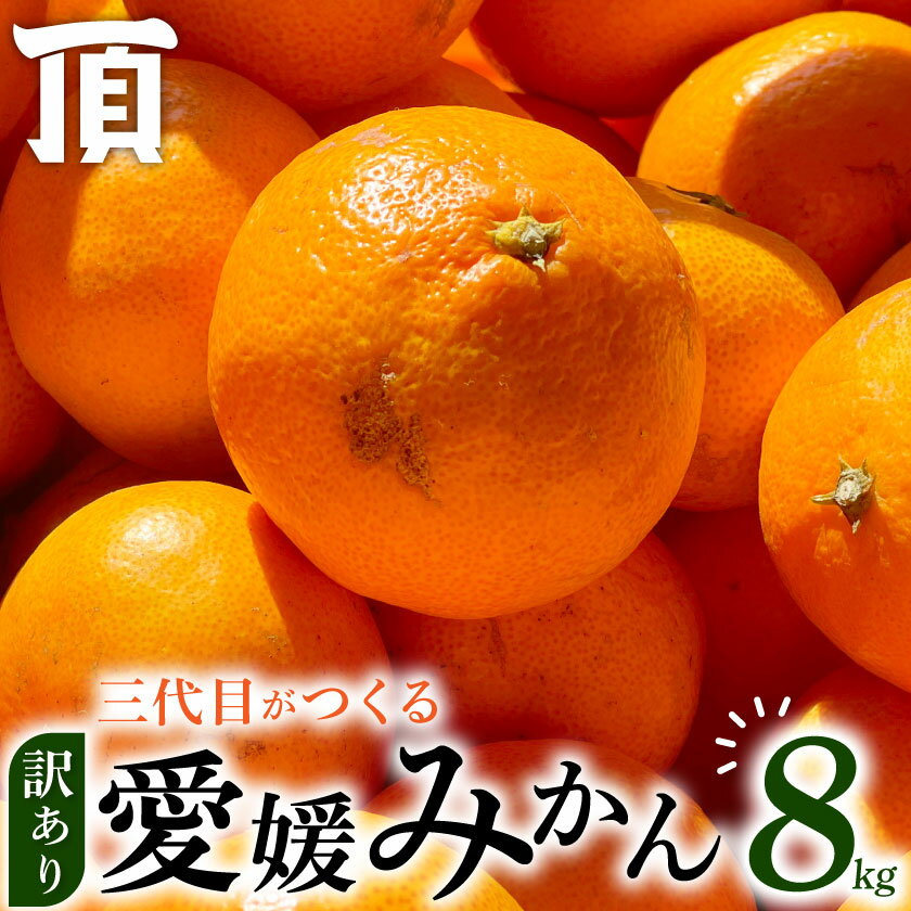 【訳あり(家庭用)】三代目がつくる愛媛みかん 8kg【C31-40】_ ふるさと納税 みかん 愛媛 訳あり 不揃い 規格外 わけあり 蜜柑 柑橘 温州みかん ふるさと 人気 ランキング 【1556518】