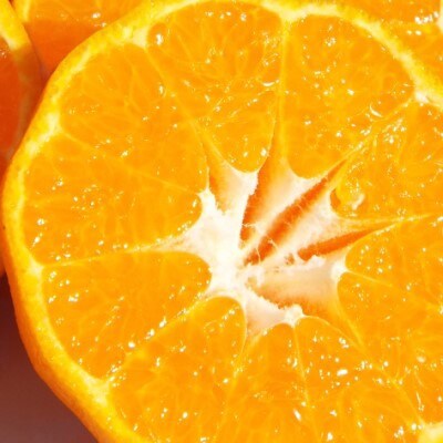 若水の香りきわ立つ「西宇和ポンカン」約4kg【C28-4】【1119725】