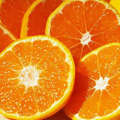 【2024年11月以降発送】濃厚な味わい「和」なごみ(みなの共選・家庭用)約5kg【C28-28】_ みかん 柑橘 訳あり フルーツ 果物 くだもの 傷 規格外 家庭用 なごみ 和 人気 おすすめ 送料無料 愛媛県 八幡浜市 【1122343】