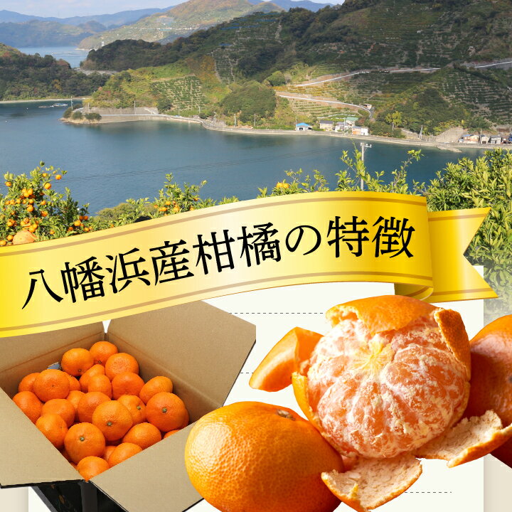 【ふるさと納税】小林果園の果汁たっぷり愛媛みかん(約10kg)【C24-14】_ みかん ミカン 柑橘 フルーツ くだもの 果物 ふるーつ 青果 果実 甘い ジューシー 産直 産地直送 旬 柑橘類 人気 温州 愛媛 果汁 八幡浜市 【1124420】 サムネイル3