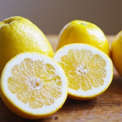 小林果園の河内晩柑(約5kg)【C24-26】_ グレープフルーツ 晩柑 文旦 フルーツ 果物 みかん ミカン オレンジ 旬 送料無料 【1124432】