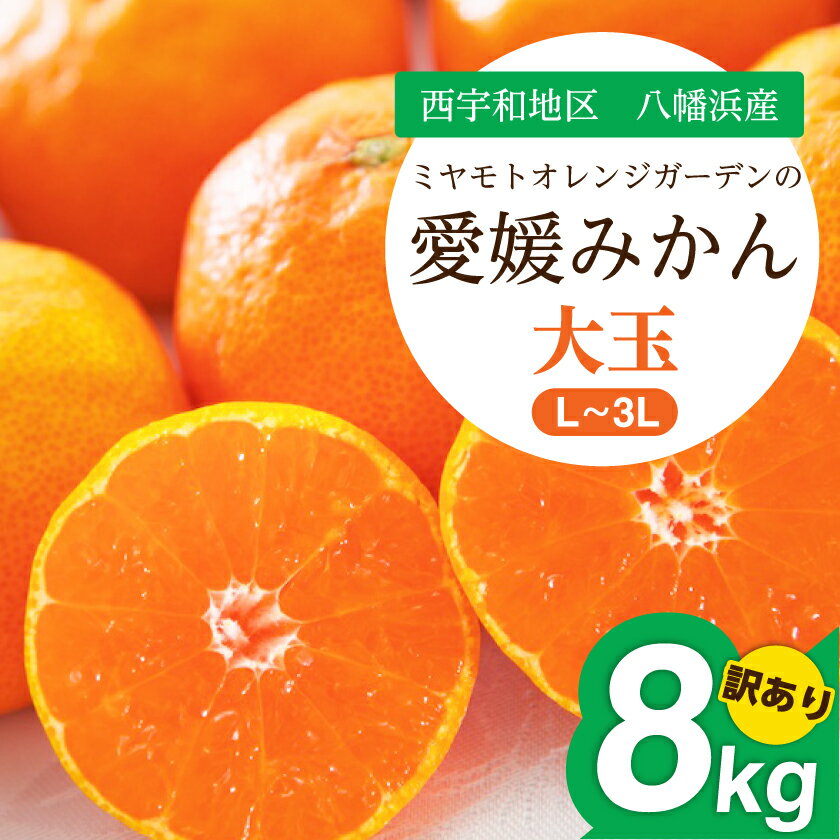 【2025年11月より順次発送】大玉サイズのみ厳選!愛媛みかん8kg【訳あり】【C25-142】_ みかん ミカン 柑橘 フルーツ ふるーつ 果物 くだもの 青果 ワケアリ 訳あり 訳アリ 甘い 人気 大玉 愛媛 規格外 傷 不揃い 産直 産地直送 【1166254】