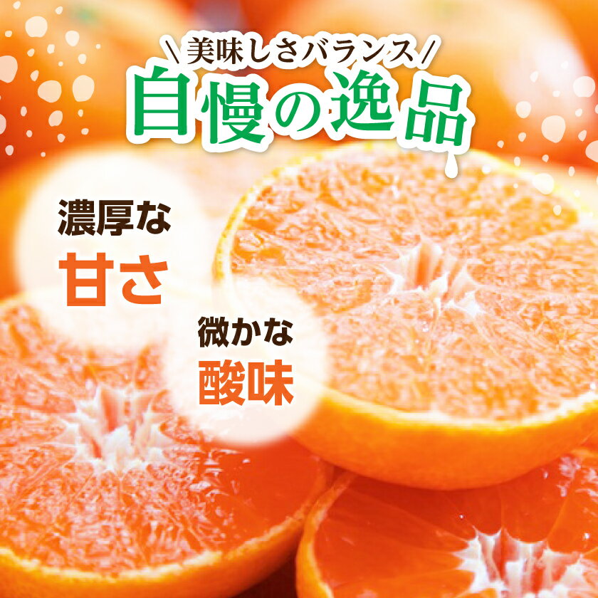 【ふるさと納税】【2025年11月より順次発送】大玉サイズのみ厳選!愛媛みかん8kg【訳あり】【C25-142】_ みかん ミカン 柑橘 フルーツ ふるーつ 果物 くだもの 青果 ワケアリ 訳あり 訳アリ 甘い 人気 大玉 愛媛 規格外 傷 不揃い 産直 産地直送 【1166254】 サムネイル2