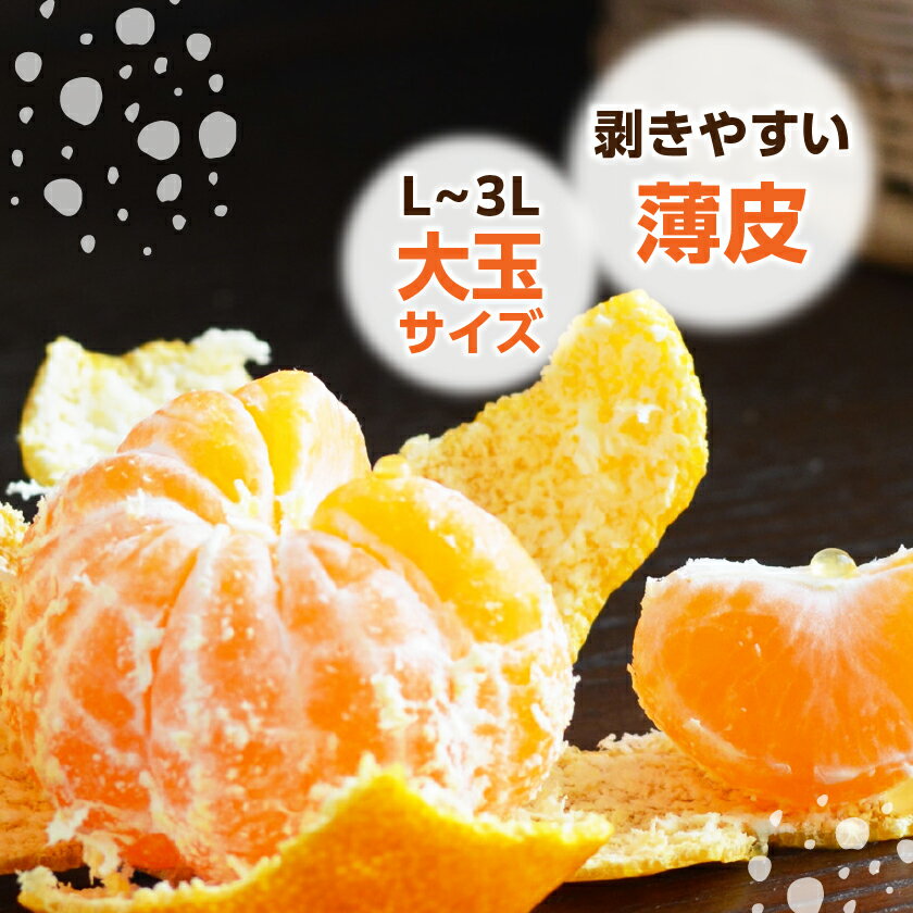 【ふるさと納税】【2025年11月より順次発送】大玉サイズのみ厳選!愛媛みかん8kg【訳あり】【C25-142】_ みかん ミカン 柑橘 フルーツ ふるーつ 果物 くだもの 青果 ワケアリ 訳あり 訳アリ 甘い 人気 大玉 愛媛 規格外 傷 不揃い 産直 産地直送 【1166254】 サムネイル3