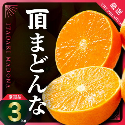 紅まどんなと同じ品種《頂まどんな》ご家庭用 3kg 【E31-22】_ みかん 蜜柑 ミカン フルーツ くだもの 果物 人気 美味しい 愛媛県 八幡浜市 家庭用 ふるさと 柑橘類 柑橘 【1329228】