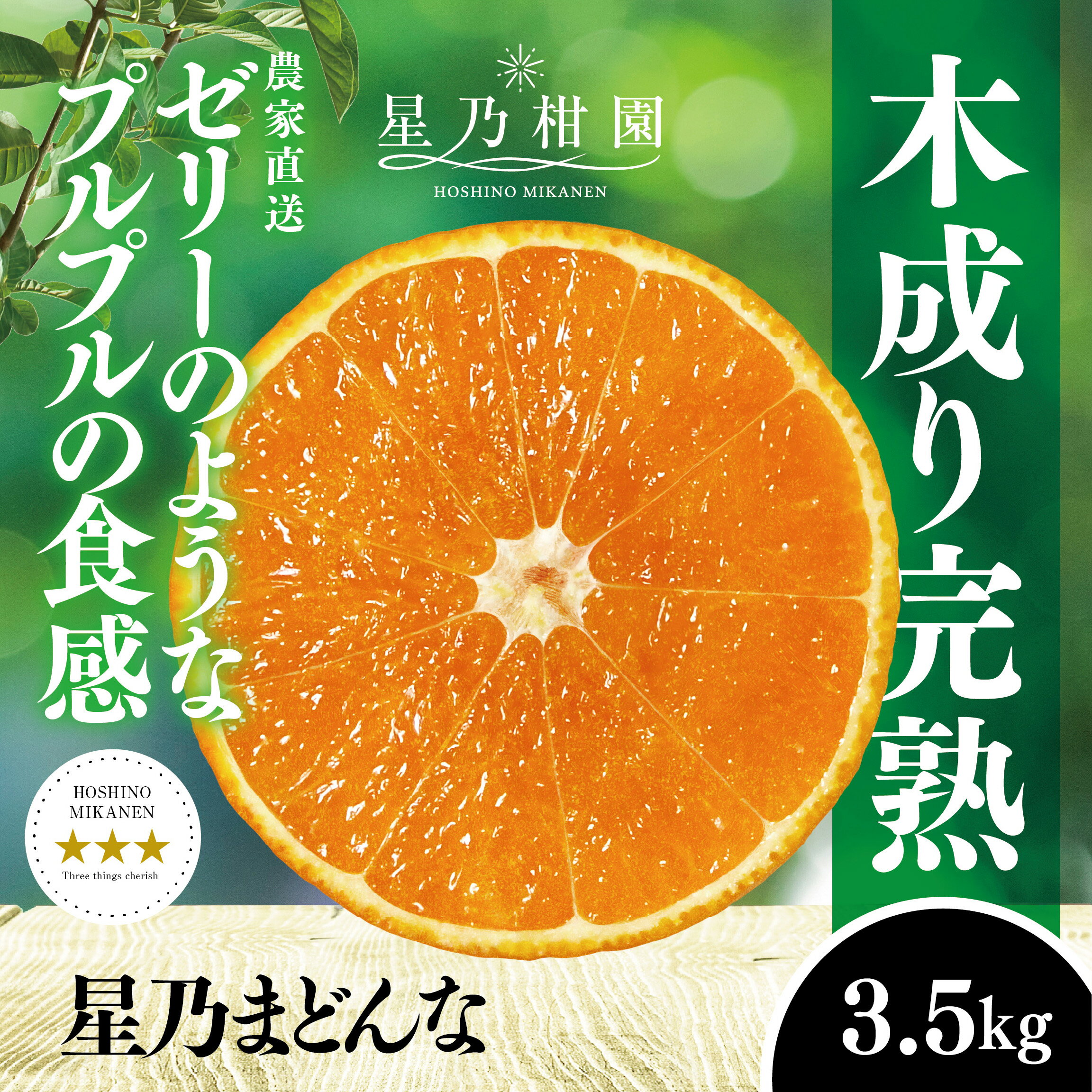 星乃みかん園の 星乃まどんな (3.5kg)【D45-63】_ ミカン 蜜柑 みかん マドンナ 紅まどんな同品種 フルーツ 果物 くだもの 柑橘 柑橘類 人気 美味しい 愛媛県 八幡浜市 ふるさと 【1339327】