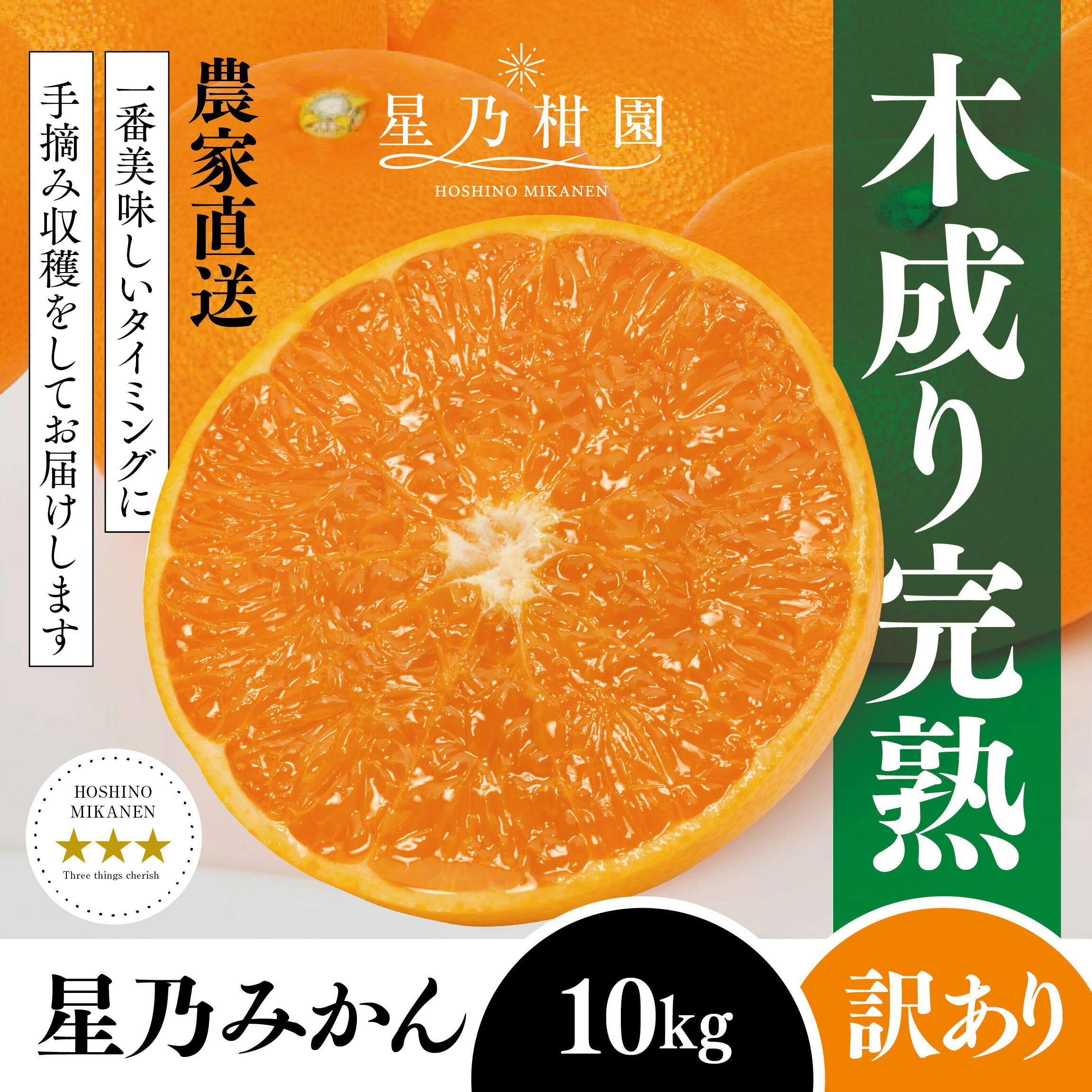 【訳あり】星乃みかん園の星乃みかん(10kg)【E45-64】_ 蜜柑 ミカン 温州みかん わけあり 送料無料 木成り 完熟 厳選 農家直送 愛媛みかん 愛媛 国産 箱 フルーツ 果物 くだもの 旬 不揃い 産地直送 【1339361】