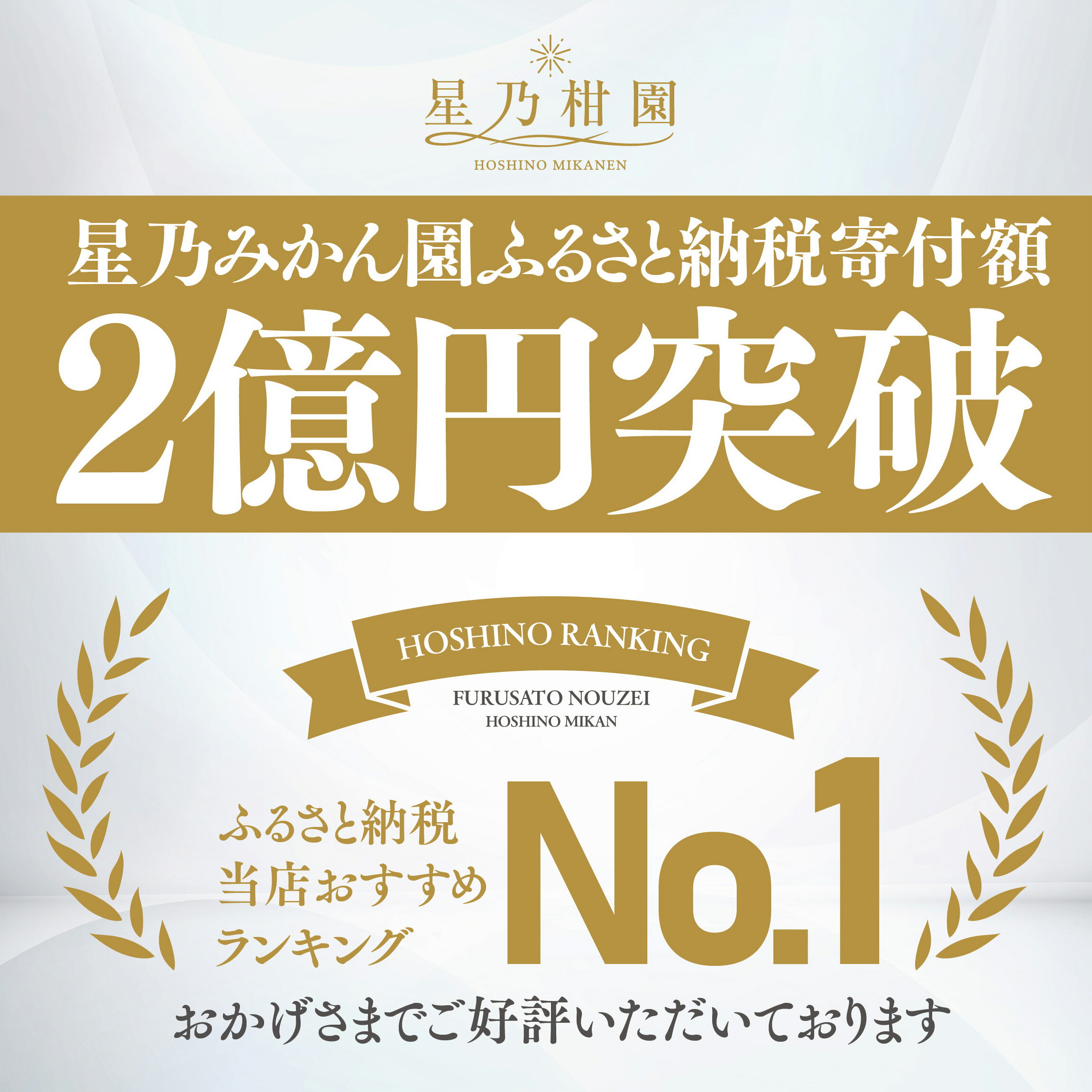 【ふるさと納税】【訳あり】星乃みかん園の星乃みかん(10kg)【E45-64】_ 蜜柑 ミカン 温州みかん わけあり 送料無料 木成り 完熟 厳選 農家直送 愛媛みかん 愛媛 国産 箱 フルーツ 果物 くだもの 旬 不揃い 産地直送 【1339361】 サムネイル2