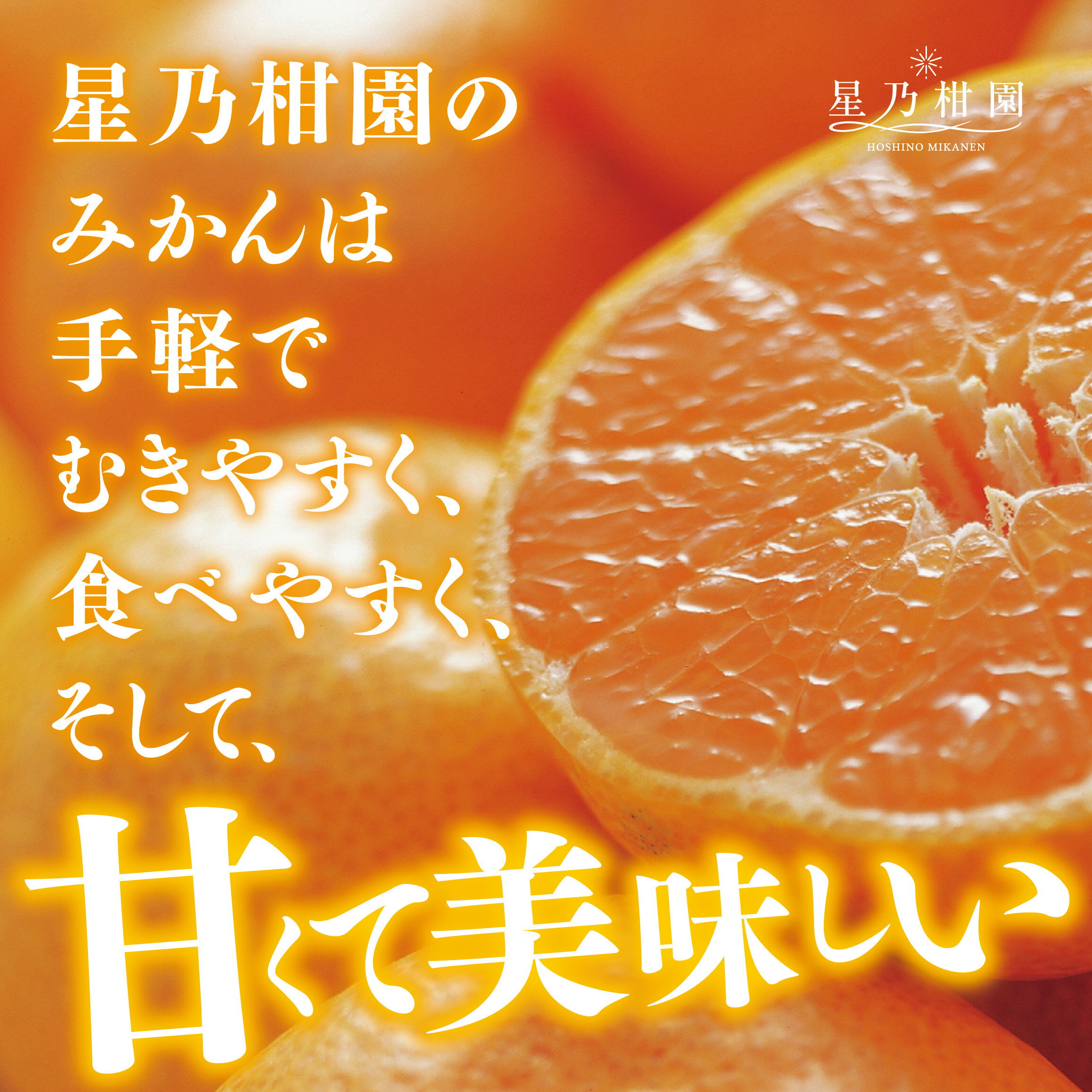 【ふるさと納税】【訳あり】星乃みかん園の星乃みかん(10kg)【E45-64】_ 蜜柑 ミカン 温州みかん わけあり 送料無料 木成り 完熟 厳選 農家直送 愛媛みかん 愛媛 国産 箱 フルーツ 果物 くだもの 旬 不揃い 産地直送 【1339361】 サムネイル3
