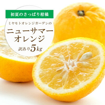 【2026年4月下旬頃出荷】ワタまでおいしい ニューサマーオレンジ5kg(訳あり)【E25-140】【配送不可地域：離島】【1268369】