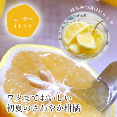 【ふるさと納税】【2026年4月下旬頃出荷】ワタまでおいしい ニューサマーオレンジ5kg(訳あり)【E25-140】【配送不可地域：離島】【1268369】 サムネイル2