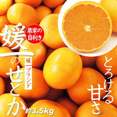 愛媛の高級柑橘の代名詞!「せとか」約3.5kg入【D28-18】_ みかん 蜜柑 ミカン 柑橘 かんきつ 国産 愛媛 愛媛みかん せとかみかん フルーツ 果物 くだもの 送料無料 高級 家庭用 箱 【配送不可地域：離島】【1046129】