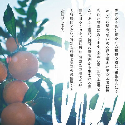 【ふるさと納税】【訳あり】天空の果樹園から届く そらまどんな(5kg)【D45-33】【1339406】 サムネイル3