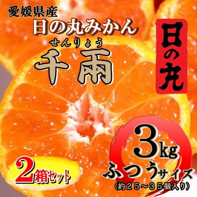 日の丸みかん「千兩」3kg　約25～35個/L・Mサイズ/2箱セット/光センサー使用【D79-7】_ みかん ミカン 柑橘 くだもの 果物 フルーツ 温州 コク 濃厚 甘い 3kg 小玉 常温 デザート 産地直送 産直 2箱 セット 【1452030】