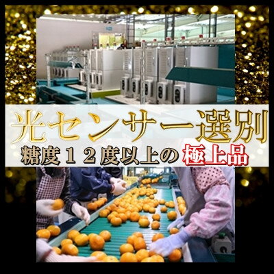 【ふるさと納税】日の丸みかん「ゴールド千兩」3kg　サイズLまたはM/約25～35個/2箱/高糖度【F79-3】【1452025】 サムネイル2