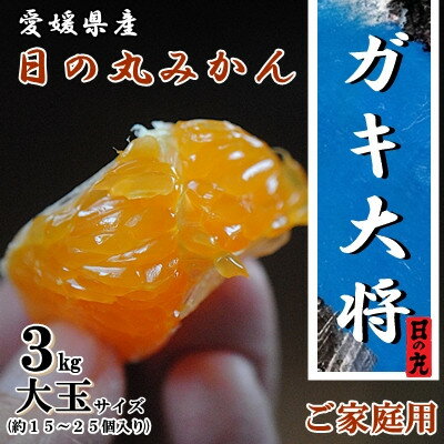果汁しっかり自然の恵み!「ガキ大将」3kg(大玉サイズ)日の丸みかん/ご家庭用【C79-11】【1452034】