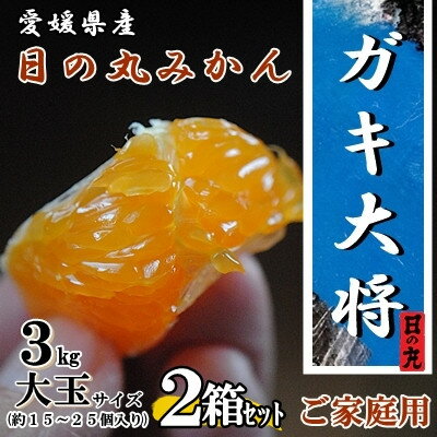 自然の恵み!「ガキ大将」3kg(大玉サイズ)日の丸みかん/2箱セット/ご家庭用【C79-12】【1452035】