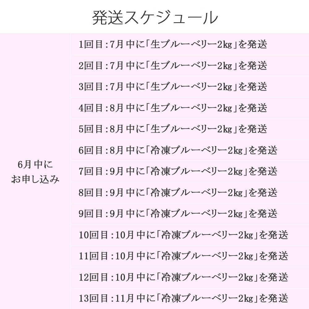 【ふるさと納税】【定期便】 ブルーベリー三昧 Cセット（約26kg／13回発送） 完熟生ブルーベリー（8月中旬以降は冷凍ブルーベリー） エコえひめ認証 サムネイル3