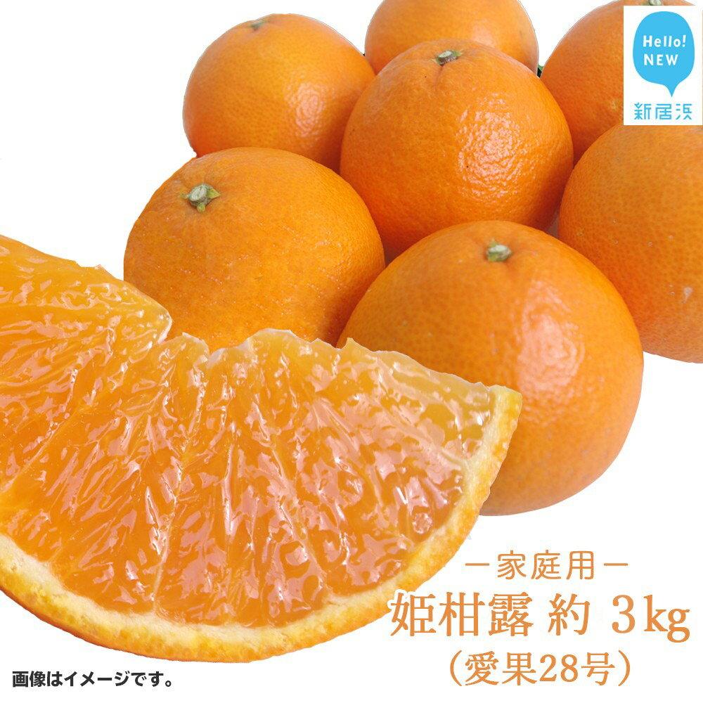 姫柑露 （愛果28号）ひめかんろ 約3kg 家庭用（宇和島産） 【期間限定：11月30日まで】【発送期間限定：11月下旬〜12月中旬】