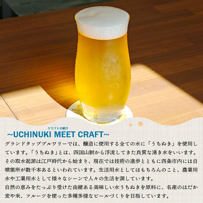 【ふるさと納税】【偶数月出荷】＜オリジナルクラフトビール 6缶セット 6回定期便 GROUNDTAP BREWERY＞※入金確認後、次の偶数月に第一回目を順次出荷します。350ml 370ml お任せ 缶 ご当地ビール 地ビール おしゃれ お酒 BBQ キャンプ 宅飲み 晩酌 愛媛県 西条市【冷蔵】 サムネイル2