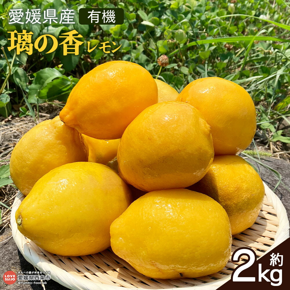＜愛媛県産有機レモン 璃の香 約2kg＞ ※2025年11月中旬～2026年1月末迄に順次出荷 りのか 果物 くだもの フルーツ 野菜 れもん 檸檬 アレンジ料理 ご飯 飲み物 ドリンク スイーツ 食品 薬味 遠赤青汁株式会社 愛媛県 西条市 【常温】