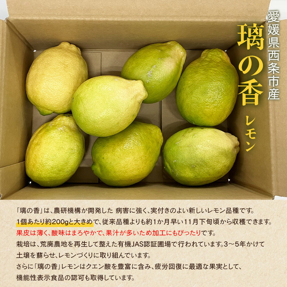 【ふるさと納税】＜愛媛県産有機レモン 璃の香 約2kg＞ ※2025年11月中旬～2026年1月末迄に順次出荷 りのか 果物 くだもの フルーツ 野菜 れもん 檸檬 アレンジ料理 ご飯 飲み物 ドリンク スイーツ 食品 薬味 遠赤青汁株式会社 愛媛県 西条市 【常温】 サムネイル2