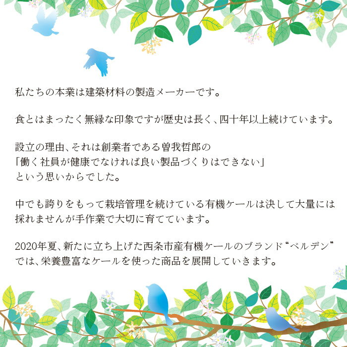 【ふるさと納税】＜ベルデン 生のケールのオイルソース（150ml×5個）合計750ml＞ ※翌月末迄に順次出荷します。 有機 野菜 国産 食べるソース 調味料 ドレッシング お料理 おつまみ ソテー フライ パスタ サラダ フジワラ化学株式会社 愛媛県 西条市 【常温】 サムネイル3