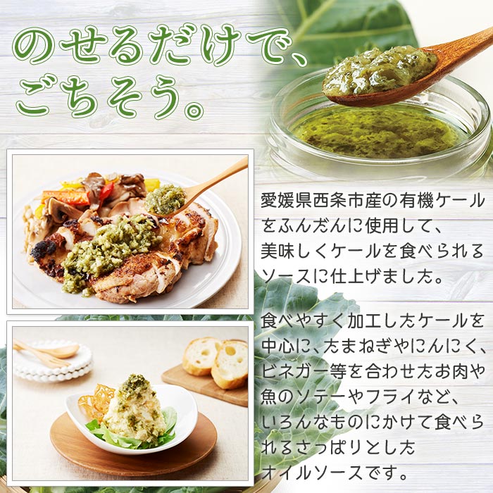 【ふるさと納税】＜ベルデン 生のケールのオイルソース（150ml×5個）合計750ml＞ ※翌月末迄に順次出荷します。 有機 野菜 国産 食べるソース 調味料 ドレッシング お料理 おつまみ ソテー フライ パスタ サラダ フジワラ化学株式会社 愛媛県 西条市 【常温】 サムネイル2